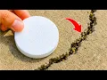 I Put Styrofoam in a Concrete Crack The Result Is Incredible Clever DIY365