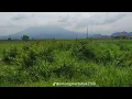 Law Tesma7 Ya Hawa - Kamel Ehab ||  لو تسمح يا هوى -  کامل ایهاب slow + reverb