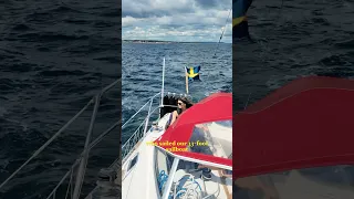 Too BOLD selling our boat?!🥲 #sailboat #sailing #boatlife #boat