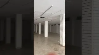                     دندنها