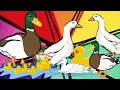 Download Lagu The sound of the duck wek wek, the sound of the duckling, the sound of the duck swimming