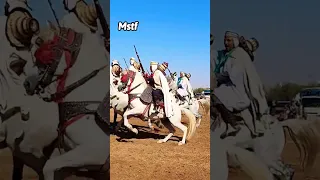 وعدة الخيثر 2023 فنتازيا الجزائر 886 