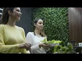 Discover The Authentic Flavors Of The Middle East At Malek Al-Kabob Dearborn Michigan