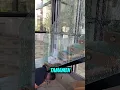 Download Lagu Camı Kırmadan Sanata Dönüştürüyor! 💎✨