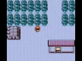 Move 0x00 s type 0xD0 arbitrary code execution glitch EN Pokemon