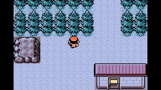 Move 0x00 s type 0xD0 arbitrary code execution glitch EN Pokemon