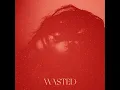 WASTED