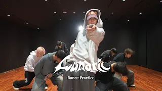 TEAM Lunatic Dance Practice Moving Ver 