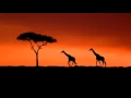 Traditional African Music Compilation: African Tribal Music u0026 African Melodies