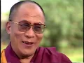 Dalai Lama kills a Mosquito