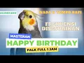 Download Lagu Masteran Falk/Parkit australia Siul Happy birthday Full 1 Jam || Cockatiel Singing