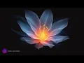 Inner Coherence 432Hz + 639Hz | Full Balance & Harmony | Chakra Healing Frequency Meditation & Sleep
