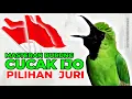Download Lagu Masteran CUCAK IJO LOMBA Pilihan Juri