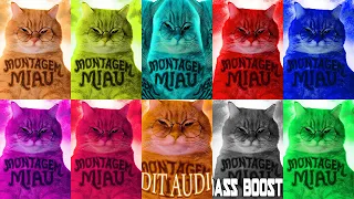 montagem miau lenar normal sped up slowed most popular funk