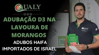 ADUBAÇÃO D3 NA LAVOURA DE MORANGOS / ADUBOS HAIFA IMPORTADOS DE ISRAEL - QUALY AGRÍCOLA