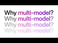 Why do you need a multi-model database SurrealDB