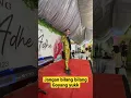 Download Lagu Jangan bilang bilang live
