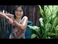 Download Lagu Ligo ta'g Ulan