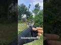 Kekep Babi Boomerang #freefly #burung #shorts