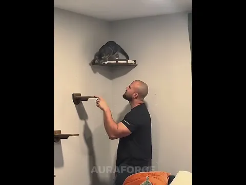 LAST CAT ARE TOO SMART