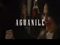 Marc Anthony Aguanile El Cantante