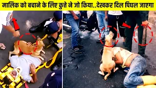देखिए कुत्ते ने मालिक को बचाने के लिए जो किया…देखकर दिल पिघल जाएगा | This Dog Will Melt Your Heart