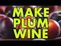 Plum Perfect Brew Wine Like a Pro