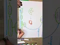 Nitrogen cycle 6 1 3c OCR A level Biology