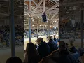 Dixie Horse Auction Troutman NC