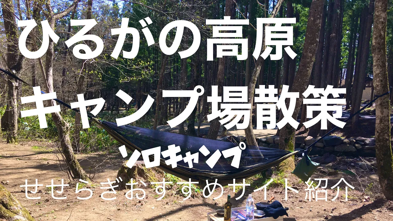 [岐阜キャンプ]ひるがの高原キャンプ場　ソロキャンプ　場内散策　カラ松園　戸谷園 サムネイル