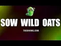 Sow Wild Oats Meaning Idiom Definition Pronunciation Story Origin History Examples
