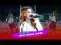 Download Lagu AJENG FEBRIA - CINTA MERAH JAMBU || PEMBUKAAN BOLA VOLLY PUHPELEM CUP II 2025