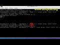 Difference between exec and xargs in BASH shell terminal