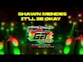 Download Lagu Shawn Mendes - It'll Be Okay #ReggaeRemix 2022