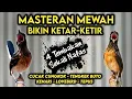 Lagu Bikin Ketar Ketir lawan !! MASTERAN MURAI BATU FULL ISIAN TEMBAKAN MEWAH‼️
