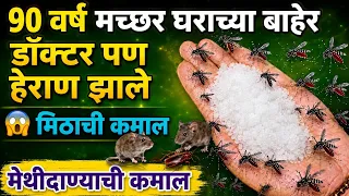 न केमिकल न औषध 90 वर्षं मच्छर,पाल, कॉक्रोच,उंदीर घरात दिसणार नाहीत😱😱 puneri tadka video / undir 😱😱