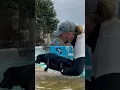 Download Lagu Sausage dog Odie had never swam before, he is an excellent little swimmer 🐾💕💦🇬🇧