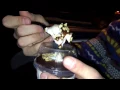 McDonald s Hot Fudge Sundae Food Review