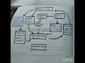 nitrogen cycle easy kid drawing