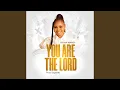 Download Lagu You Are The Lord