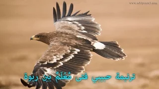 حبيبي فتى م ع ل م  بين ربوة دندنها