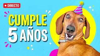 ¡CUMPLO 5 AÑOS! Fiesta en Directo! 🎉