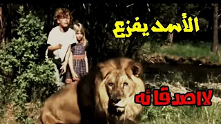 شيلات افلام  الدب يهجم  عليهم في الغابه   وصلت الفزعه  من الأسد  دندنها