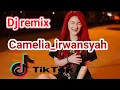 Download Lagu dj camelia irwansyah ( remix )
