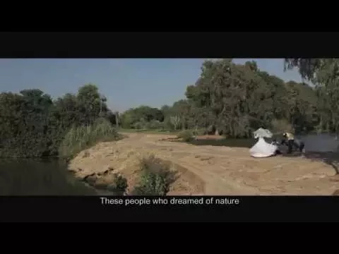 Winding Trailer - פתלתל
