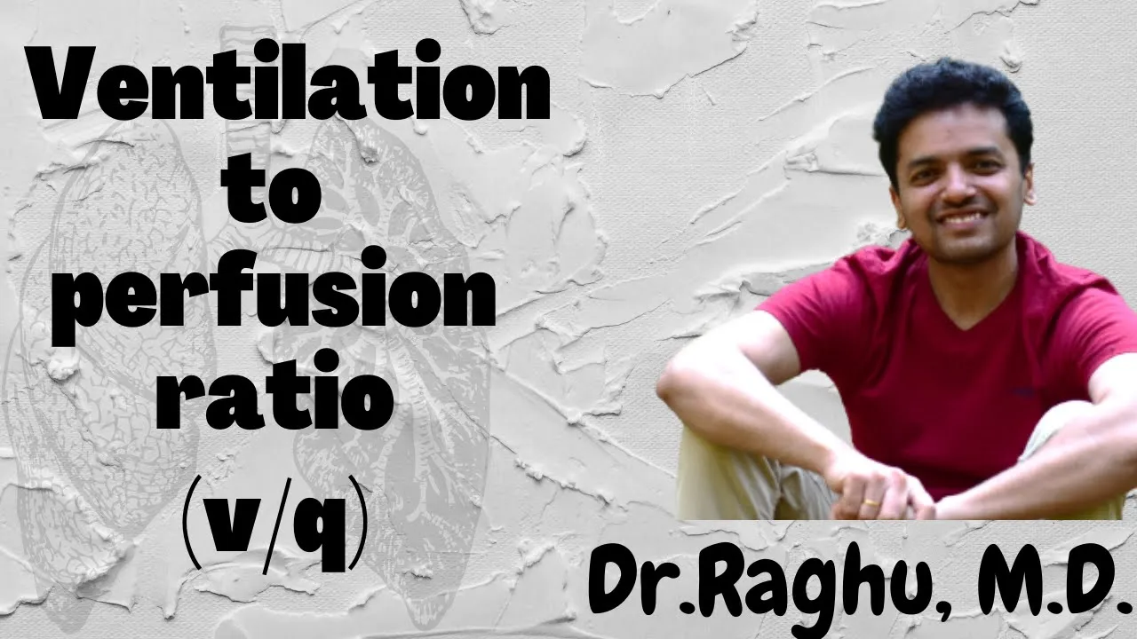 Ventilation to Perfusion Ratio(V/Q Ratio)| Effect of gravity on V/Q ratio | Physiological shunt