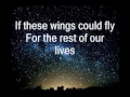 Birdy - Wings (Acoustic) Lyrics