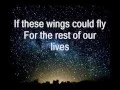 Download Lagu Birdy - Wings (Acoustic) Lyrics