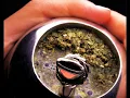 Mate Galleta - Jose Larralde