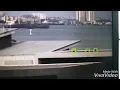 Tracking Birds using OpenCv multi tracker class